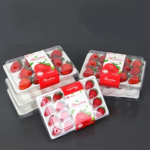 Erdbeerbox (20 Erdbeeren) 225*120*40 mm cm-20