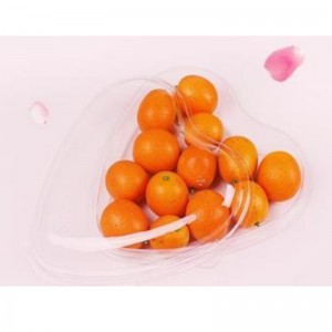 Cardioid Box Transparent unten 185*45 mm