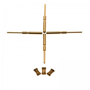 Kronenfedernadel und Steckdose