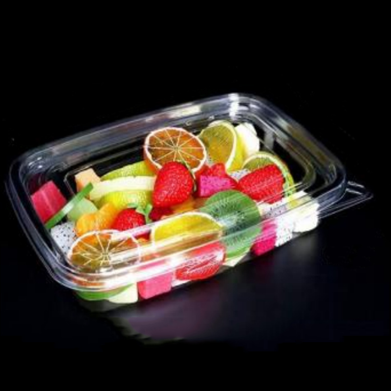 Salatbox unten 245*175*45 mm Hgf-fg1