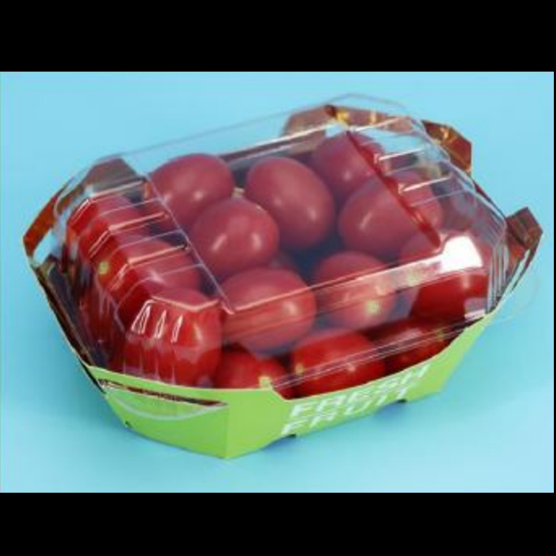 Obstbox Hgf-T500 500 g