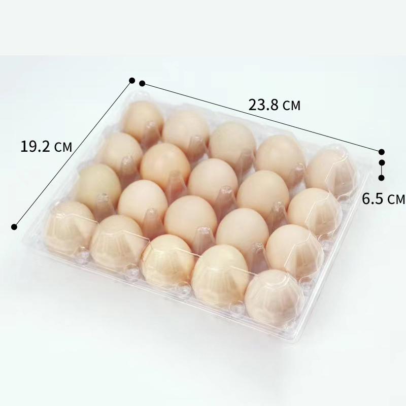 Eierschale 238*192*65 mm 20 Rillen