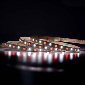 5050 60LEDS/M RGBW LED -Streifen