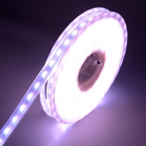 5050 60LEDS/M WRGBWW LED -Streifen