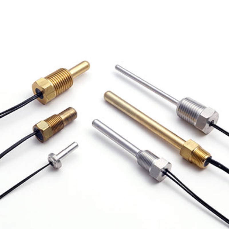 NTC -Thermistor -Temperatursensor in der digitalen Baddusche
