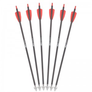 15 -Zoll -RX -Armbrustschrauben mit Edelstahl -Broadheads