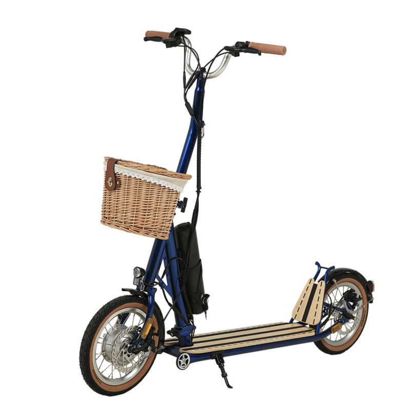 H10- 14 Zoll Doppelklapper Machanismus Elektrischer Roller