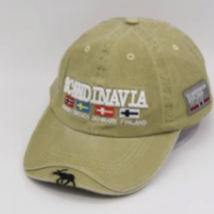 Erwachsene Baumwollsommer -Baseball -Mütze Sonnenschildhut mit Stickerei und gewebtem Etikett Stickerei auf dem vorderen Visier