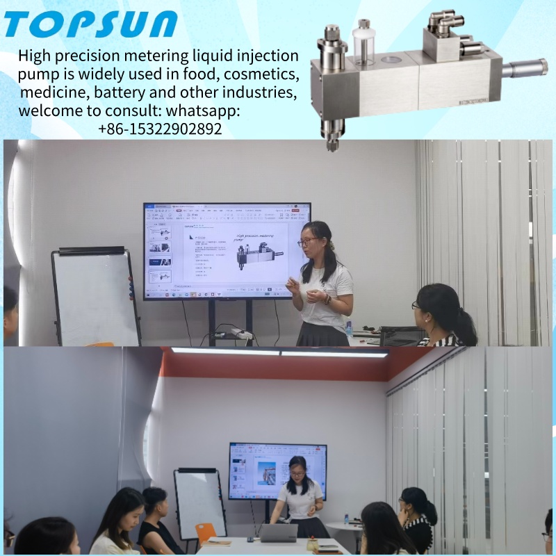 So wählen Sie die Präzisionsmesspumpe?aus