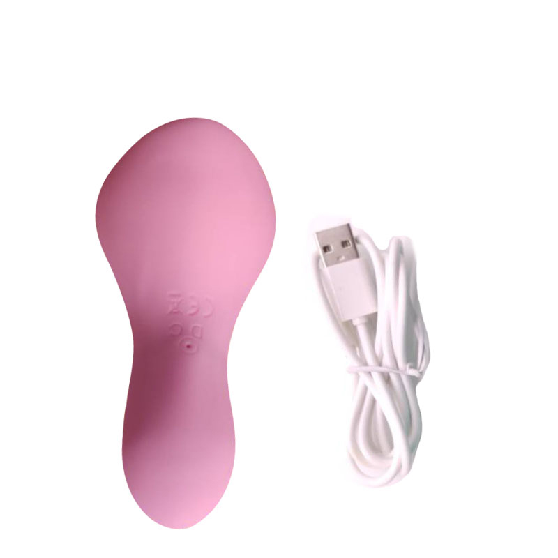 Erwachsene Sexspielzeug vibrieren Speervibratorstab (rosa Blütenblatt)