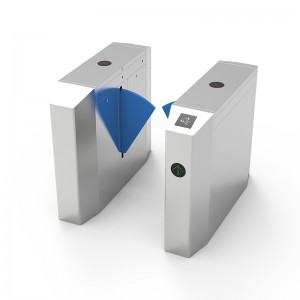 Oktagonales Flügeltor (blaue Platte)