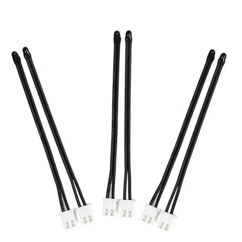 Potenzielle Sicherheitsrisiken für die Ladung einesneuen Energie des Elektrofahrzeugs