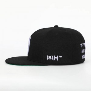 Benutzerdefinierte 6 Panel schwarzer Acryl geschlossener Rückenflex Flex Fit Gorras Cap ausgestattet Hut 3d Stickglotzu Grüne Unterbrim Hip Hop Snapback Cap