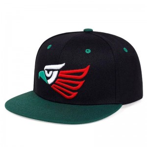 Großhandel Snapback Cap Custom einstellbares Hip -Hop -Hut mit Logo in Pakistan