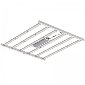 800W 4*4ft Volles Spektrum Gartenbaubeleuchtung für Gewächshaus in Innenräumen oder kommerzielle Anbau LED Wachsen Licht