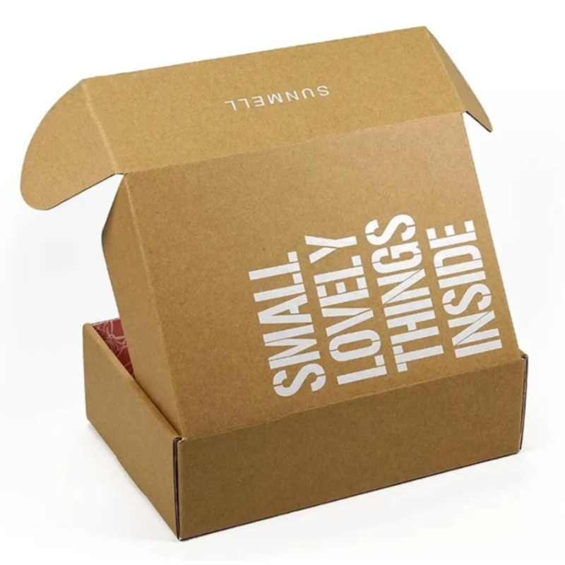 Custom Printing Logo Kosmetische Wellblechverpackung Recycle Mailer Paper Box Flugzeugversandkasten