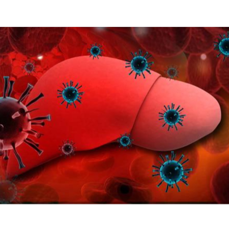 Universität von Parma: NMN verbessert die chronische Hepatitis B