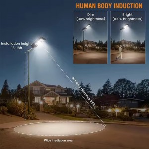Neue ländliche LED Solar Street Light