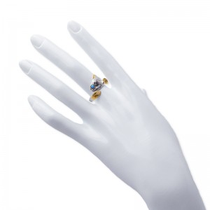 Hongde polierter Typ Ring