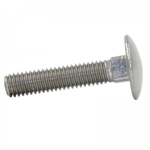 Schlossschraube aus Edelstahl