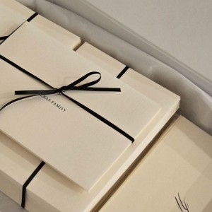 Luxus minimalistische Dreiecktasche