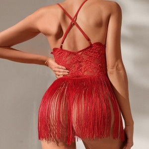 Sexy Dessous, sexy Spitze, schiere Design, Deep V - Hals für einen verführerischen Look mit Quasten - getädigt und gekreuzt - Backed Suspender Kleid, F2640 Preis:$79,99