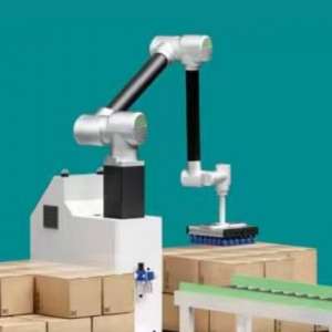 Kollaborative Palletisierung der Workstation