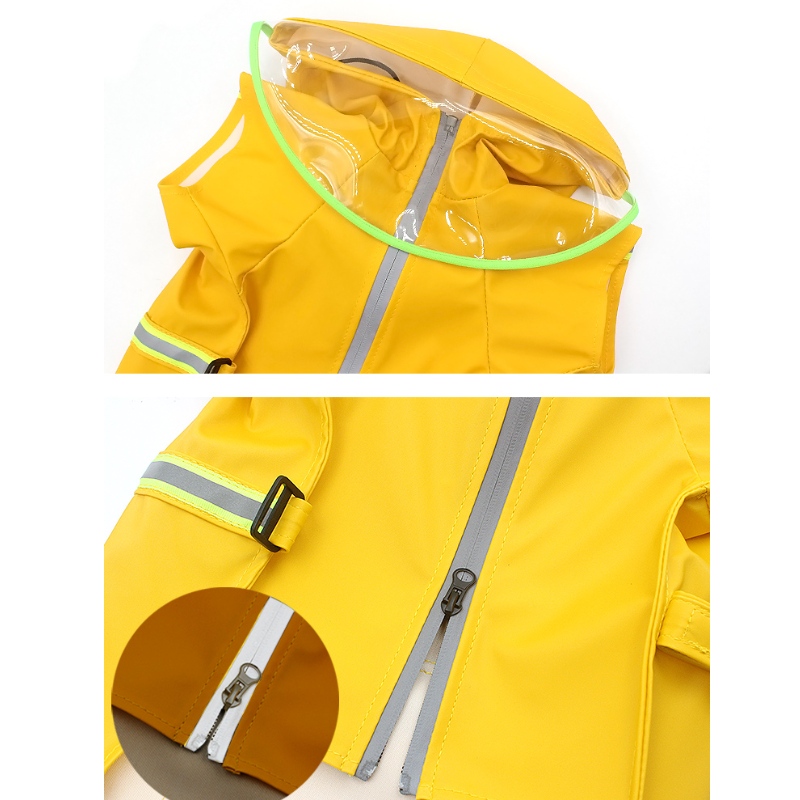 1647576418.jpg dog accessories.jpg