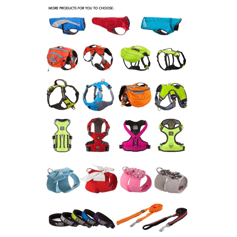 1647617122.jpg dog walking product pet accessories.jpg