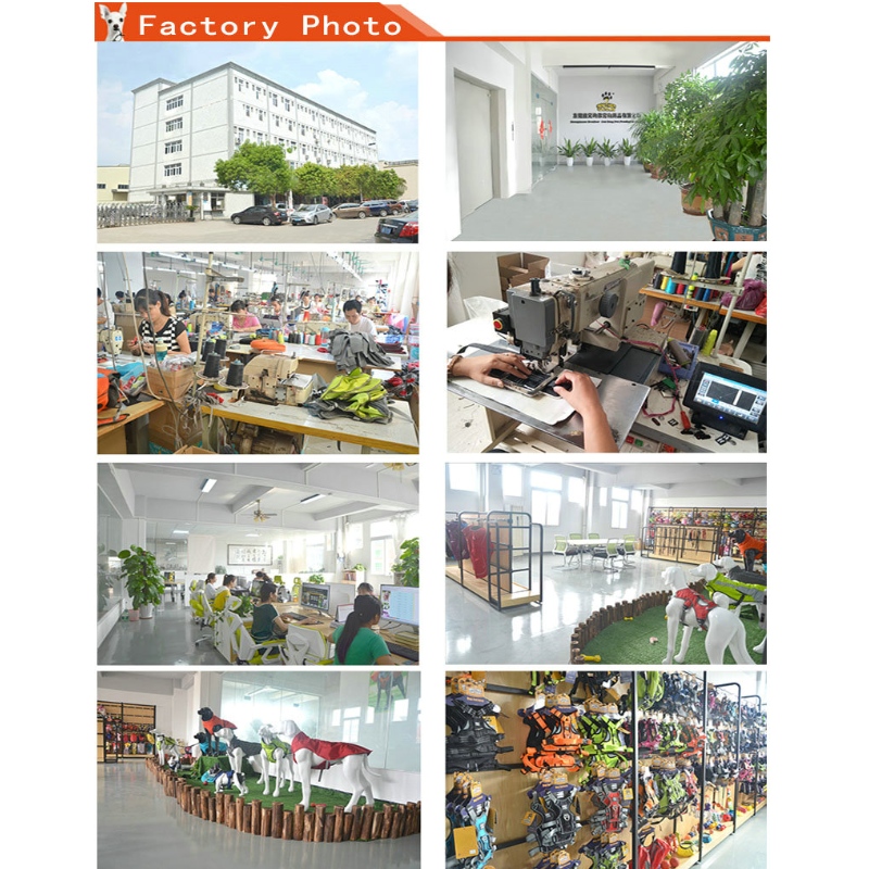 1647619341.jpg pet supplies wholesaler.jpg