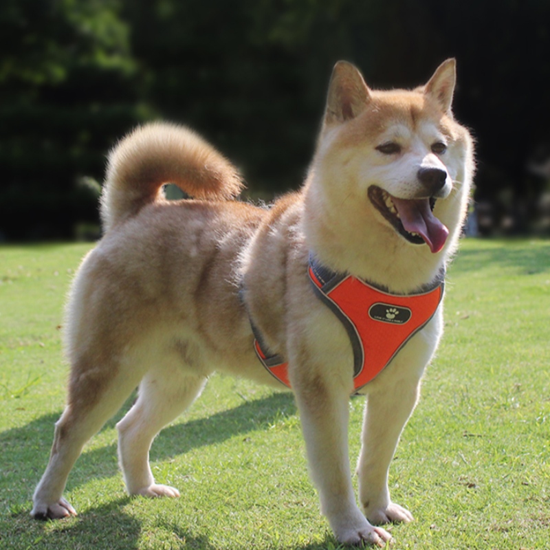 1647789289.jpg zmkm-800_800(6).jpg