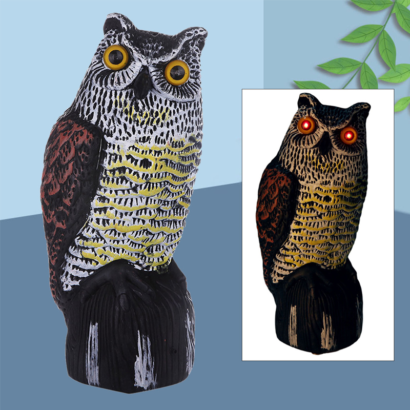 1631022250.jpg owl2-1.jpg