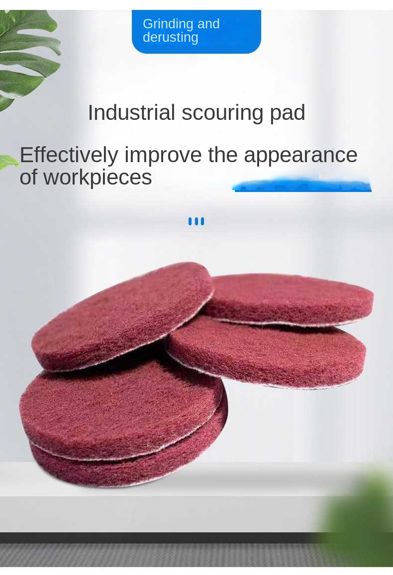 1683362615.jpg scouring pad (40).jpg